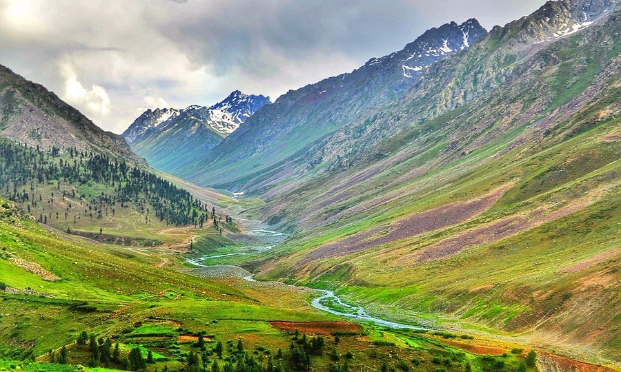 Deosai Wildlife Safari